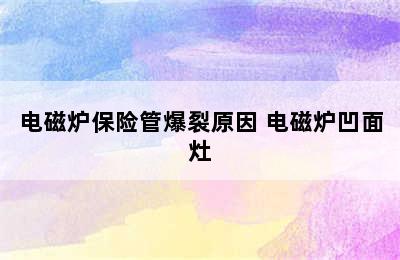 电磁炉保险管爆裂原因 电磁炉凹面灶